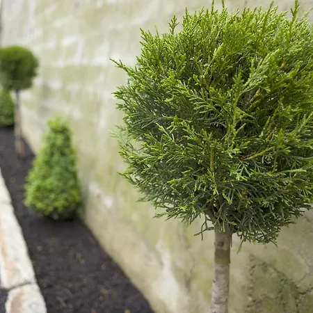 Guest house Garni Nill 3*