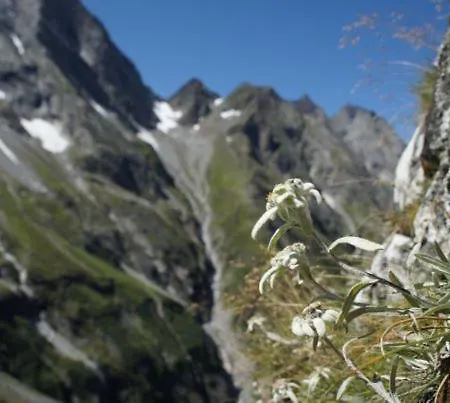 Garni Nill Konukevi Schwendau