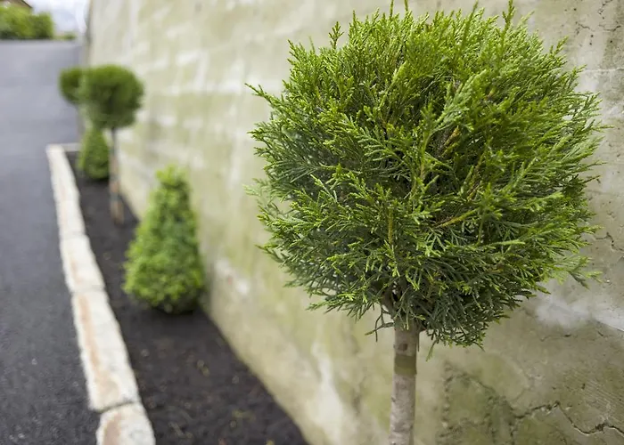 Pensión Garni Nill 3*