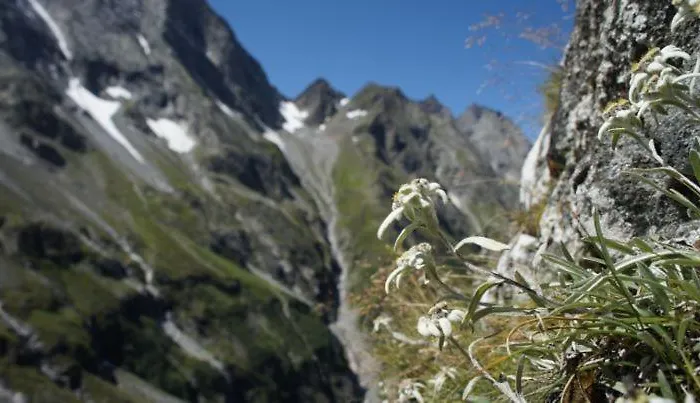 Garni Nill Pensión Schwendau